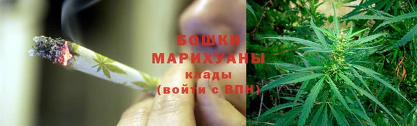 ПСИЛОЦИБИНОВЫЕ ГРИБЫ Краснотурьинск