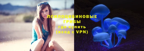 гашик Красноперекопск