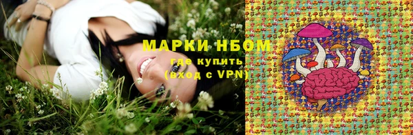 ПСИЛОЦИБИНОВЫЕ ГРИБЫ Краснотурьинск
