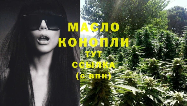 дурь Краснослободск