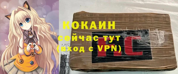 твердый Коряжма