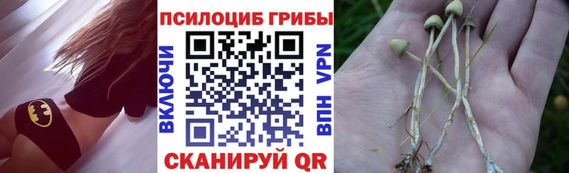 Купить  Альметьевск  Галлюциногенные грибы GOLDEN TEACHER 
